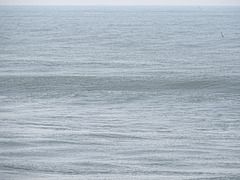 DSC05143