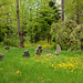 Bulgaria, Sofia, Medieval Burials in the Park at Boyana Church