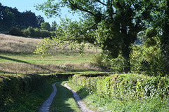 Opposite Beertsenhoven