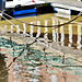 Reflections. St Peters Basin