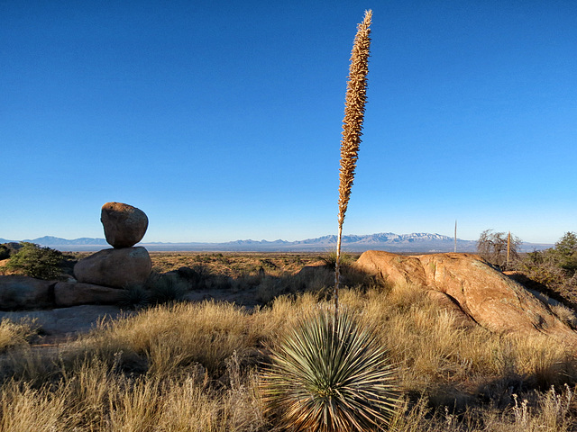 The Cochise Stronghold