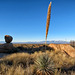 The Cochise Stronghold