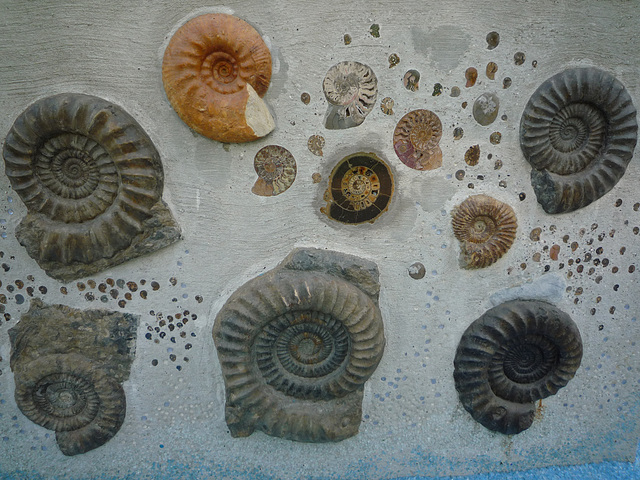 Schnecken im Arboretum