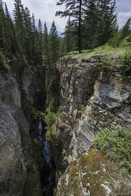 Maligne Canyon ...P.i.P. (© Buelipix)