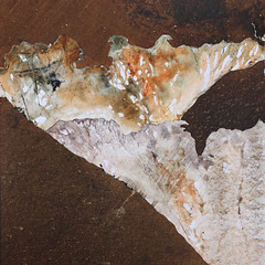 Végétal