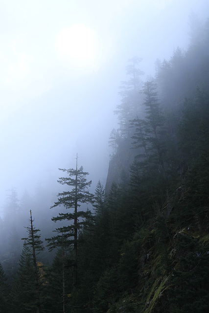 Early Morning Along the North Cascades Highway