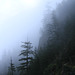 Early Morning Along the North Cascades Highway