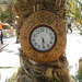 Reloj en palmera