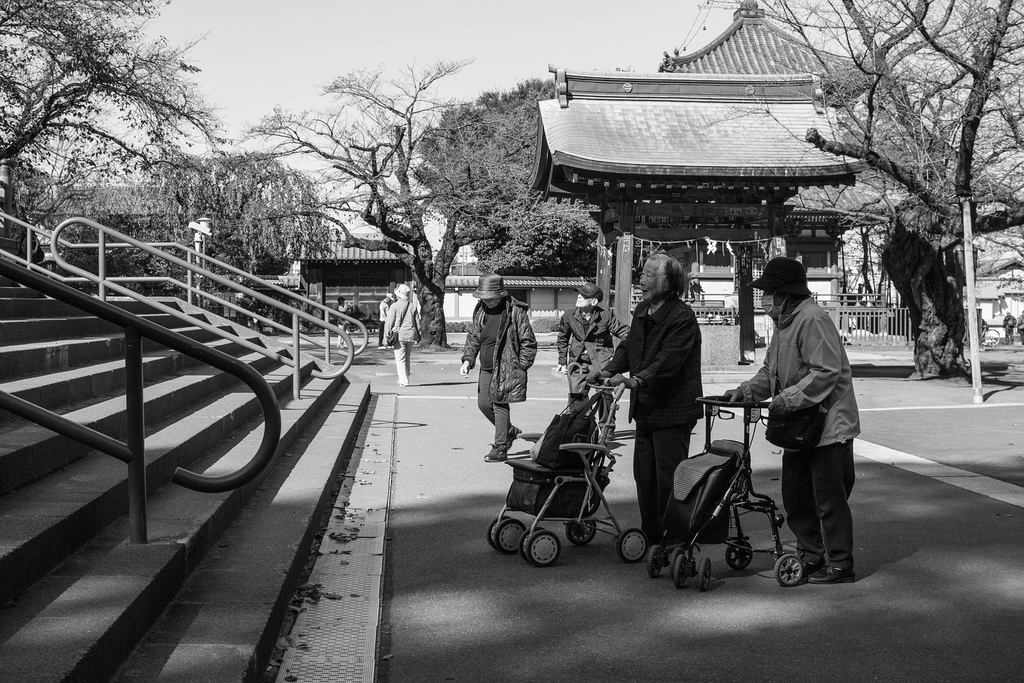 Elderly women with walker