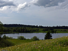 BELLEFONTAINE (Jura)