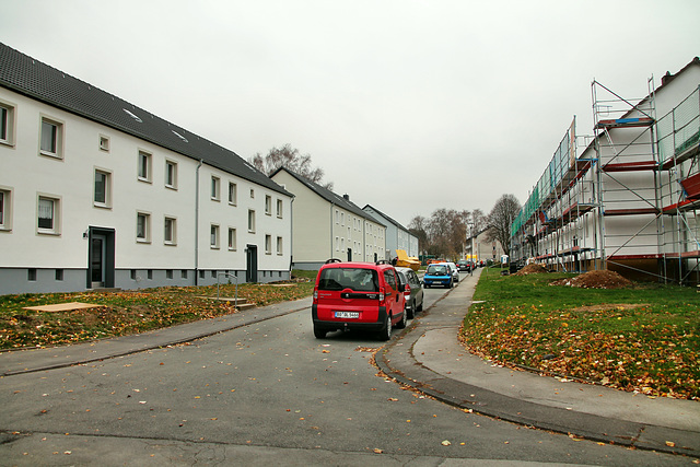 Im Nörenberger Feld (Bochum-Werne) / 20.11.2018