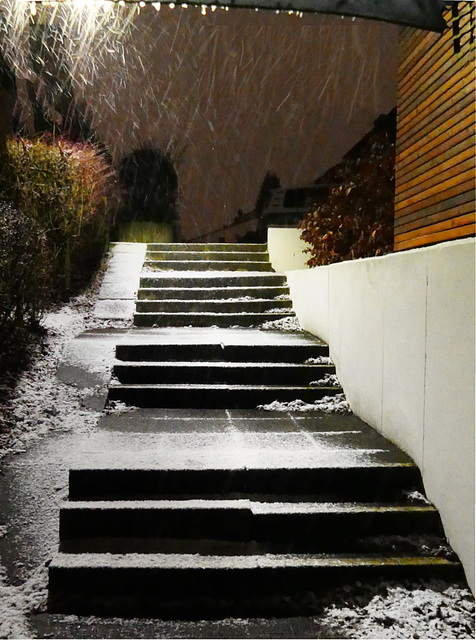 Nun schneits wieder! (PiP)