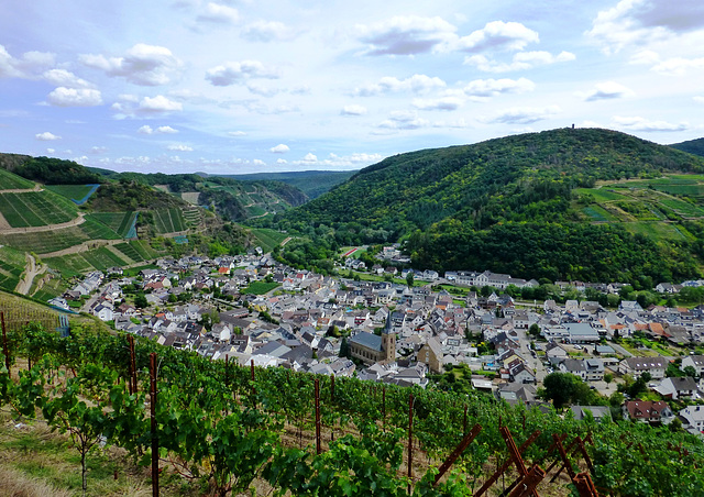 Blick auf Dernau