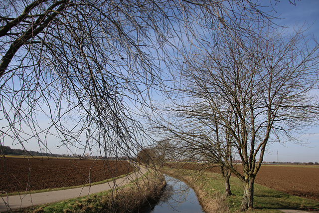 Durch Feld ...