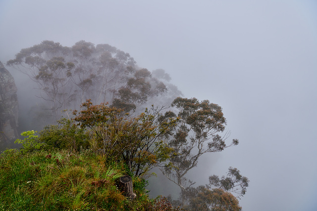 Blue Mountains