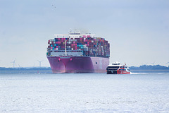 HFF....Größenverhältnis....