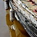 Reflections. St Peters Basin