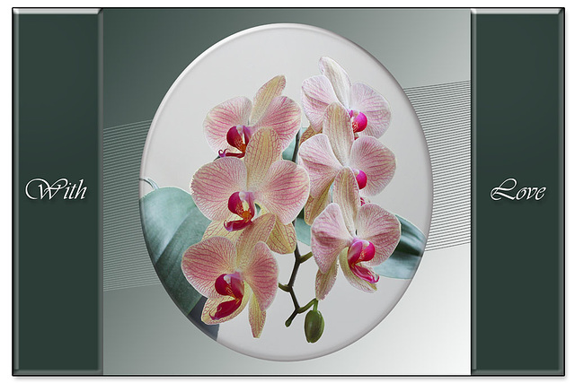 Orchid plaque - With Love - 15.5.2015