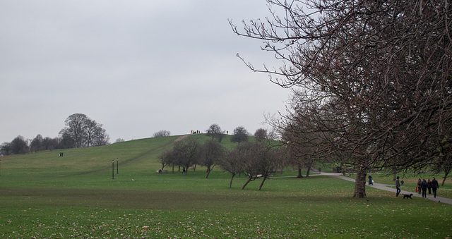 London Regents Park (#0214)