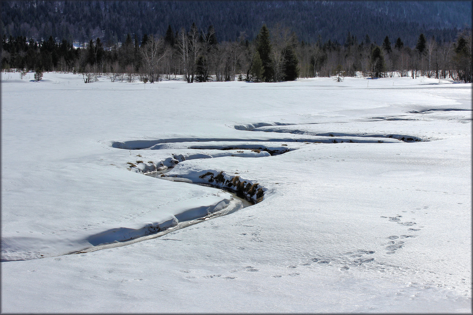 Chapelle-des-Bois (25) 17 mars 2016.