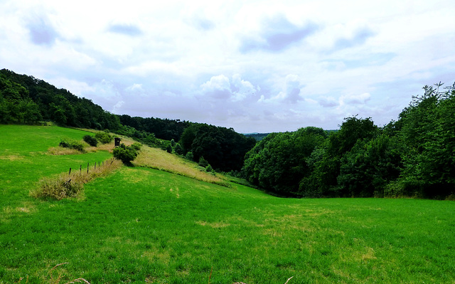 DE - Bad Münstereifel - Jahrhundertweg des Eifelvereins