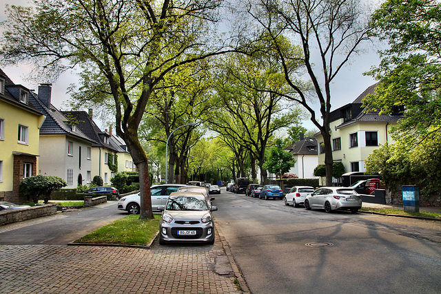 Glockengarten (Bochum-Altenbochum) / 7.05.2022