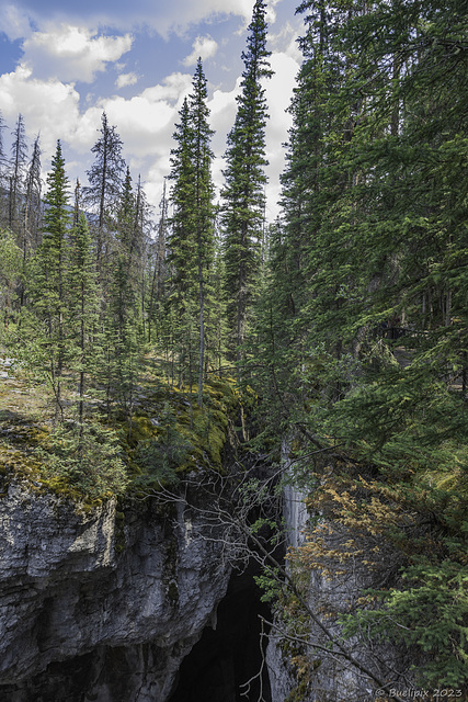 Maligne Canyon ... P.i.P.  (© Buelipix)