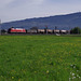 BÖ0036940