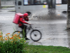 July rain 1