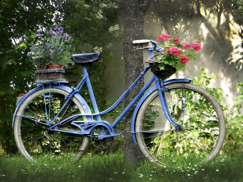 La bicyclette bleue