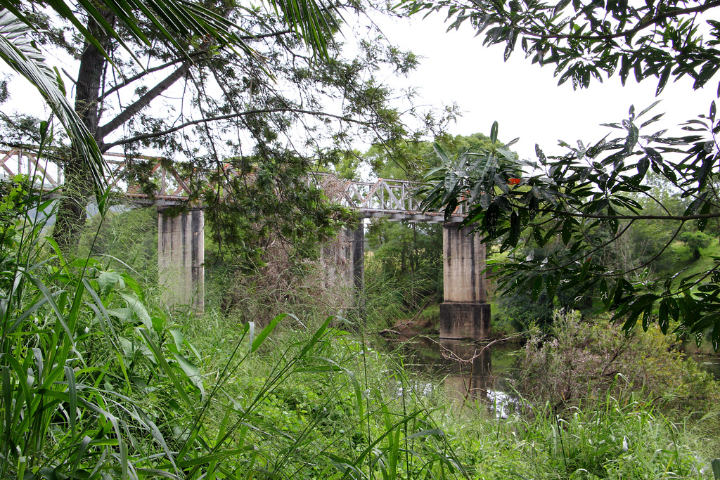 Bridge over Yabba Creek