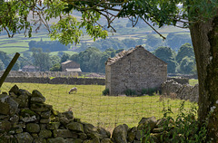 HWW ~ The Dales today