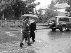 July rain 2 (Salvation)