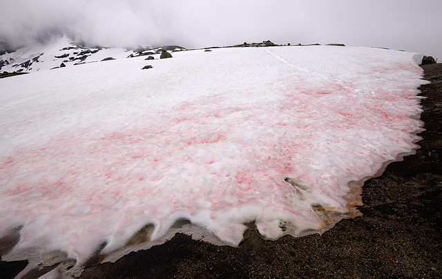 2015 Norway - Trondheim to Bergen