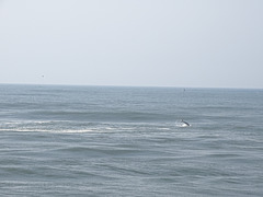 DSC05148a