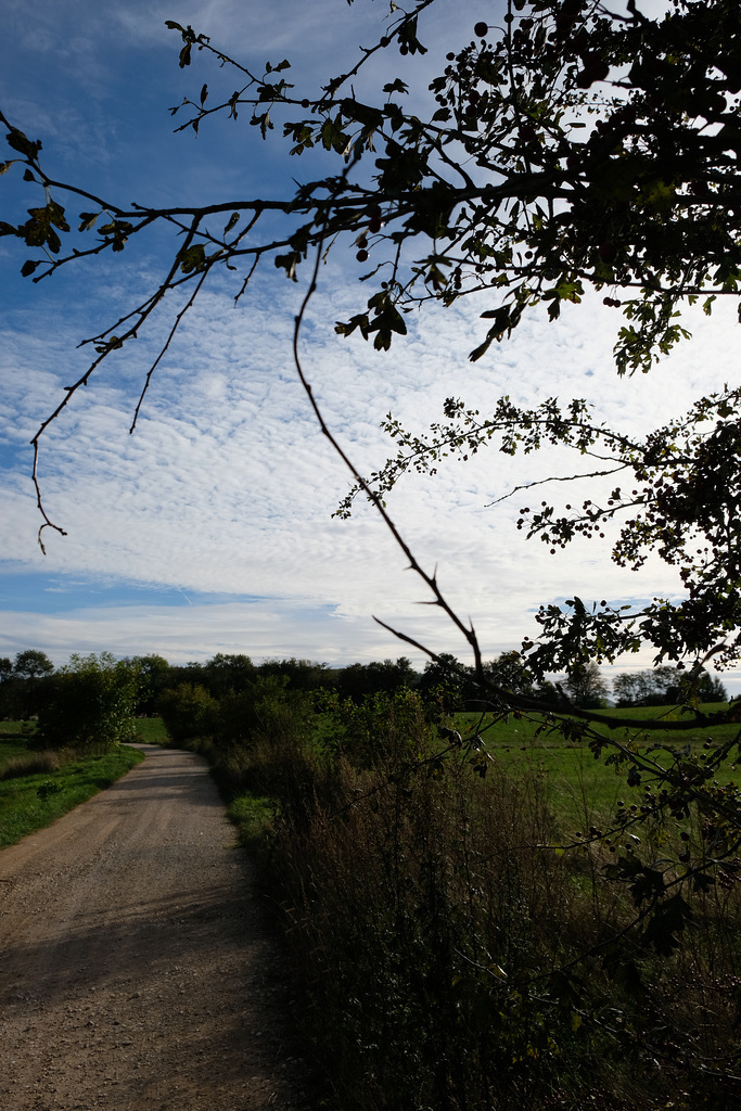 DSCF0172