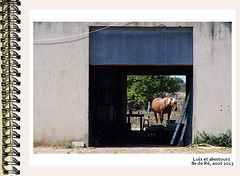ilere162