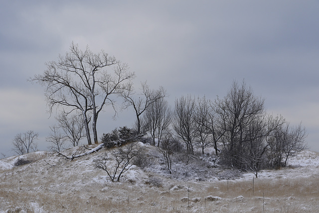 Lake Michigan Winter