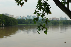 Jurong River View