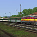 [Train Simulator] Slezsko