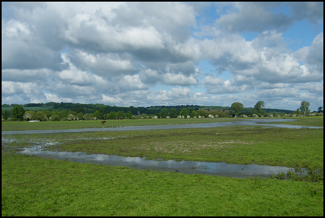 meadow and clouds