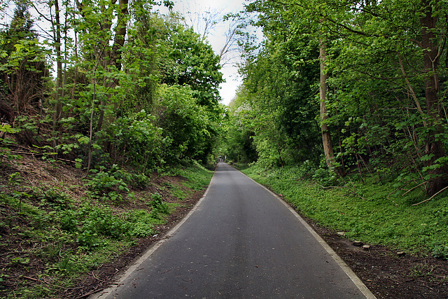 Radweg auf der ehem. Werksbahn Lothringen (Bochum) / 27.04.2024