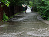July rain 3