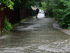 July rain 3