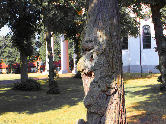 Lachender Baum