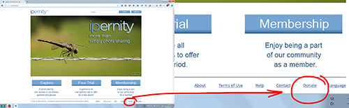 New ipernity Homepage - Donate-Button
