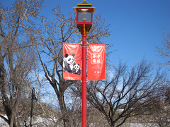 Sien Lok Park in Chinatown Calgary, Canada