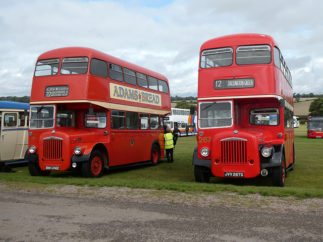 Preserved Northampton Daimlers at Showbus - 29 Sep 2019 (P1040729)