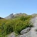 Alaska, Moraine Ridge Trail to Worthington Glacier