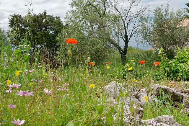 C'était le printemps